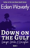 Down on the Gulf: Danger, Drinks, & Deception (Down South, #2) (eBook, ePUB)