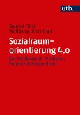 Sozialraumorientierung 4.0 (eBook, ePUB)