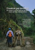 Construir paz territorial (eBook, PDF)