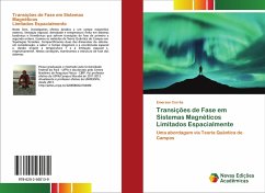 Transições de Fase em Sistemas Magnéticos Limitados Espacialmente - B. S. Corrêa, Emerson