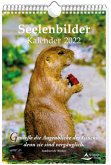 Seelenbilder-Kalender 2022