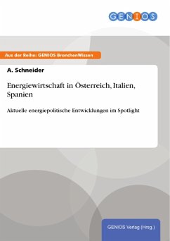 Energiewirtschaft in Österreich, Italien, Spanien (eBook, PDF) - Schneider, A.