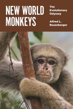 New World Monkeys - Rosenberger, Alfred L.