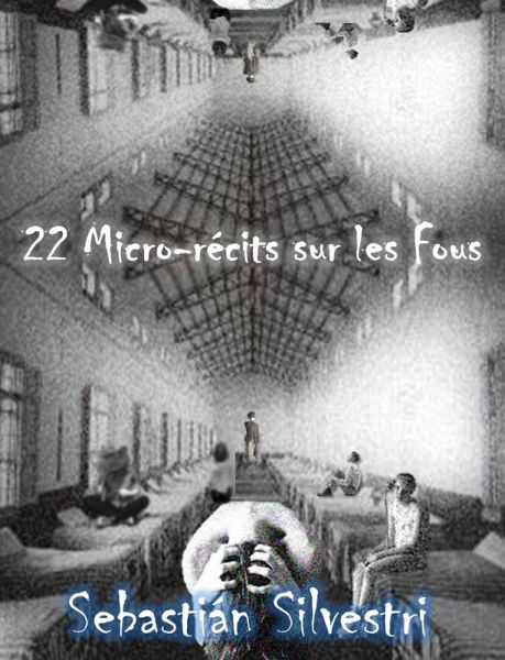 22 Micro-récits sur les Fous (eBook, ePUB)