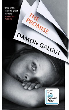 Promise - Galgut, Damon