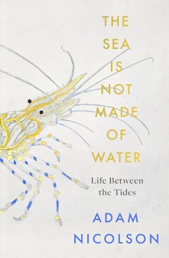 The Sea is Not Made of Water - Nicolson, Adam