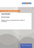 Kernenergie (eBook, PDF)