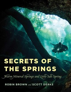 Cover Secrets of the Springs (eBook, ePUB)