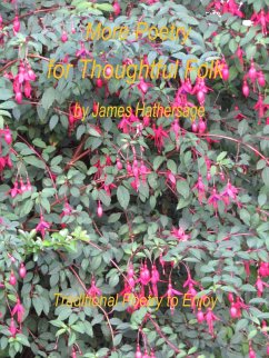 Cover More Poetry for Thoughtful Folk (eBook, ePUB)