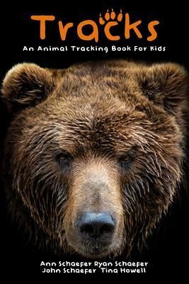 Tracks (eBook, ePUB) Tracks (eBook, ePUB)