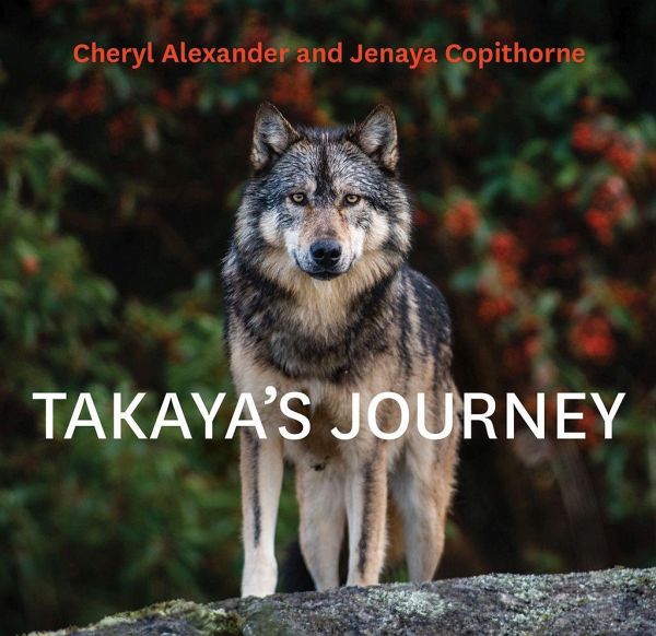Takaya's Journey Takaya's Journey