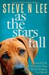 As The Stars Fall - Bild 1