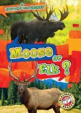 Moose or Elk?