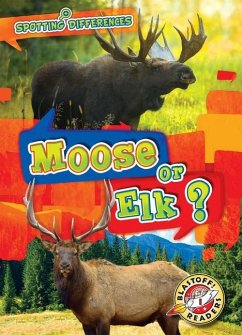 Moose or Elk? - Chang, Kirsten