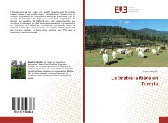 La brebis laitière en Tunisie - Medini, Ibrahim