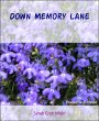 Down Memory Lane (eBook, ePUB) - Bild 1