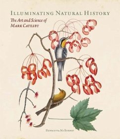 Illuminating Natural History - McBurney, Henrietta