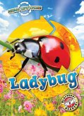 Animal Life Cycles: Ladybug