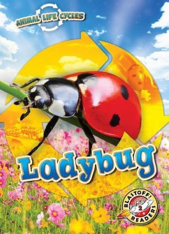 Animal Life Cycles: Ladybug - Neuenfeldt, Elizabeth