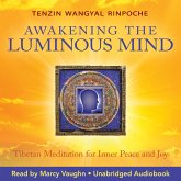 Awakening the Luminous Mind (MP3-Download)
