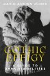 Gothic effigy (eBook, ePUB) - Bild 1