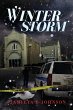 Winter Storm - Bild 1