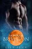 The Wolf in Brimston (eBook, ePUB)