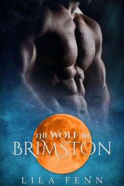 Cover The Wolf in Brimston (eBook, ePUB)