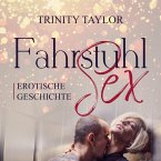 FahrstuhlSex / Erotik Audio Story / Erotisches Hörbuch (MP3-Download)