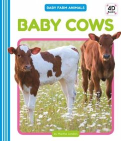 Baby Cows - London, Martha
