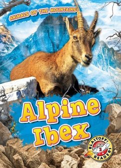 Alpine Ibex - Duling, Kaitlyn