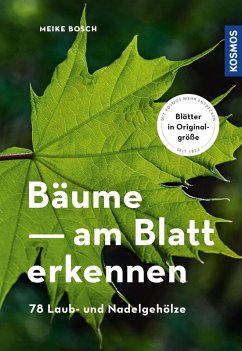 Bäume am Blatt erkennen (eBook, PDF) - Bosch, Meike