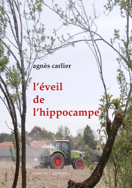 L'éveil de l'hippocampe (eBook, ePUB) L'éveil de l'hippocampe (eBook, ePUB)