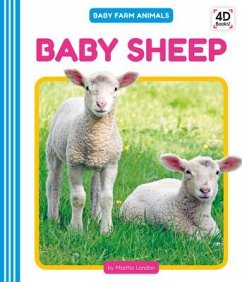 Baby Sheep - London, Martha