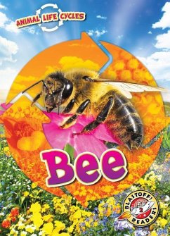 Animal Life Cycles: Bee - Sabelko, Rebecca