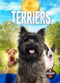 Terriers - Green, Sara