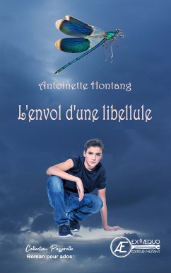 L'Envol d'une libellule (eBook, ePUB) - Hontang, Antoinette