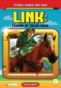 Cover Link: Legend of Zelda Hero