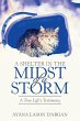 A Shelter in the Midst of a Storm - Bild 1
