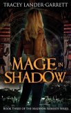 A Mage in Shadow