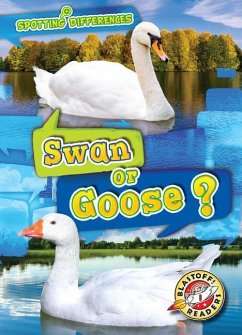 Swan or Goose? - Chang, Kirsten