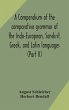 A compendium of the comparative grammar... - Bild 1