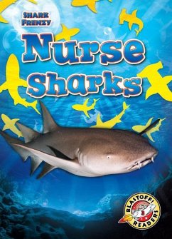Nurse Sharks - Pettiford, Rebecca