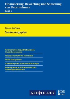 Sanierungsplan (eBook, PDF) - Seefelder, Günter