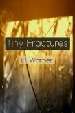 Tiny Fractures (eBook, ePUB)