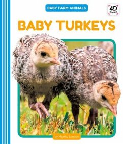Baby Turkeys - London, Martha