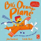 Big Orange Plane