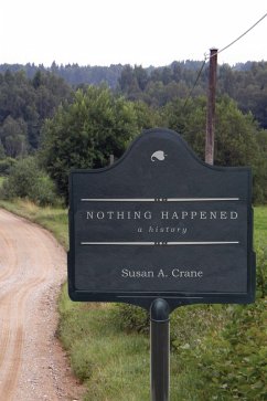 Nothing Happened (eBook, ePUB) - Crane, Susan A.