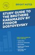 Study Guide to The Brothers Karamazov... - Bild 1