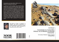 Conodontes du Carbonifère Inférieur de la Meseta occidentale marocaine - Neqqazi, Amal